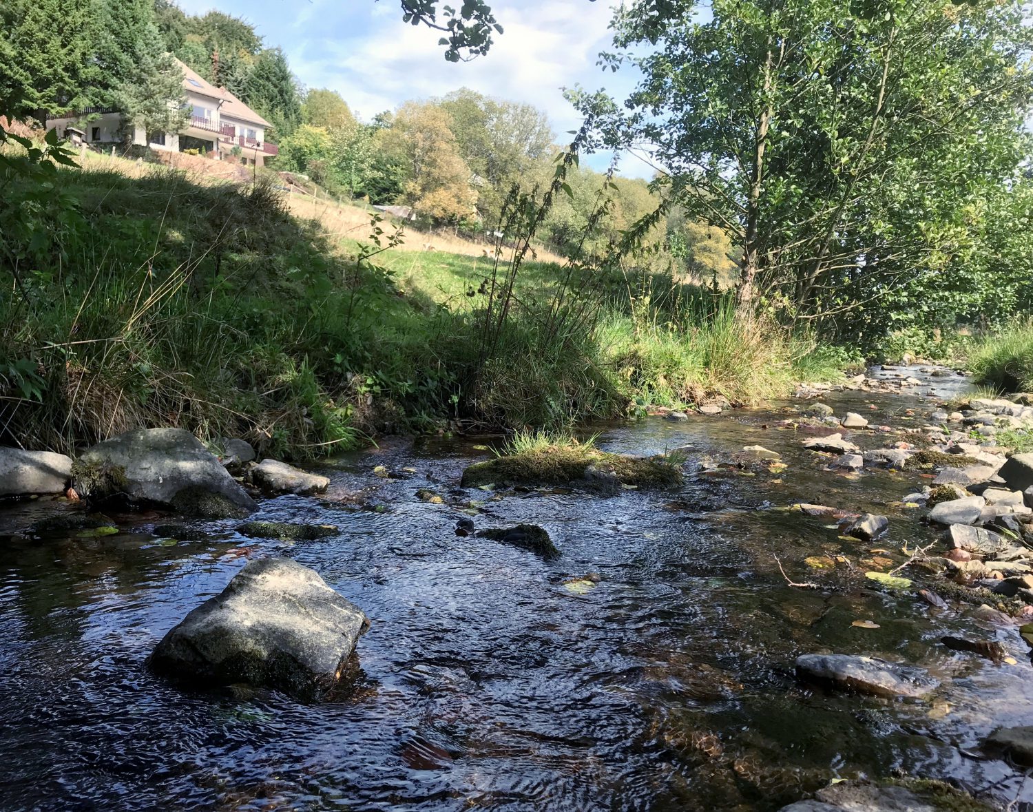 Ferienwohnungen im Sauerland - Willingen - für Familien- und Sport-Urlaub